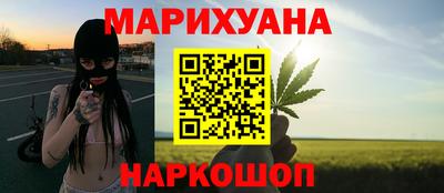сатива Кунгур