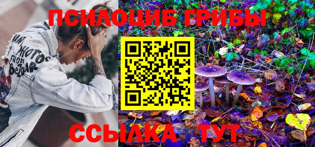 Галлюциногенные грибы мицелий Волжский