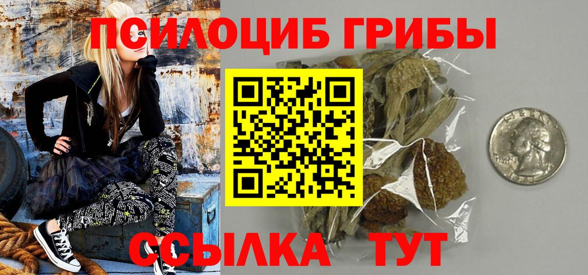 Галлюциногенные грибы Psilocybine cubensis  Вход с VPN  Волжский  Псилоцибиновые грибы MAGIC MUSHROOMS 